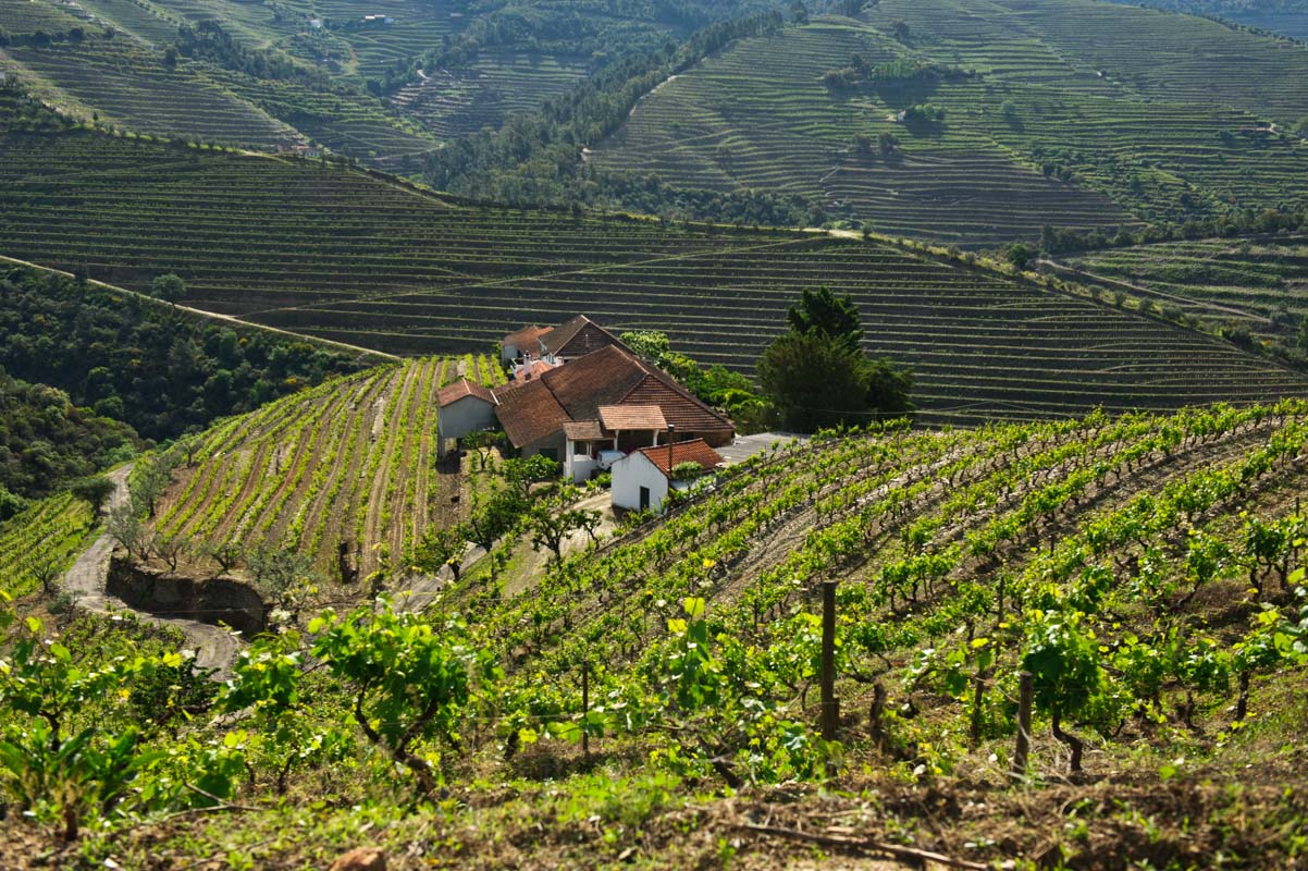 Port wine trail Duoro Valley | MINDY TAN PHOTOGRAPHY Singapore Lifestyle Editorial Travel Documentary Portrait photographer 